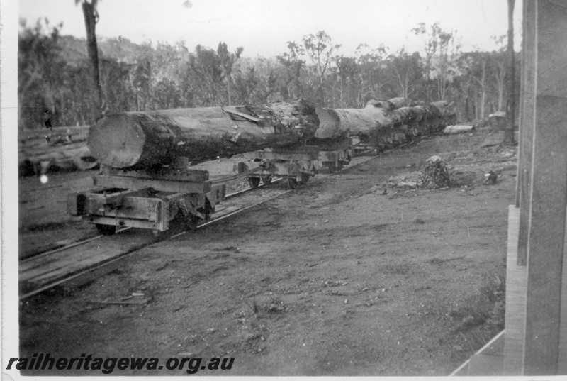 P14924
Log landing with train of 50ft long logs on the jinkers bound for the mill at Nyamup
