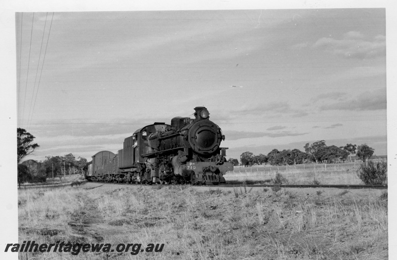 P17264
PM class 719 steam locomotive, side and front view, on goods train, between Boundain and Narrogin, NWM line.
