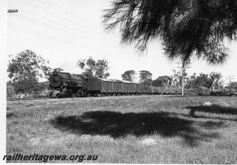 P17265
V class 1204 steam locomotive, front and side view, on goods train, between Narrogin and York, GSR line.
