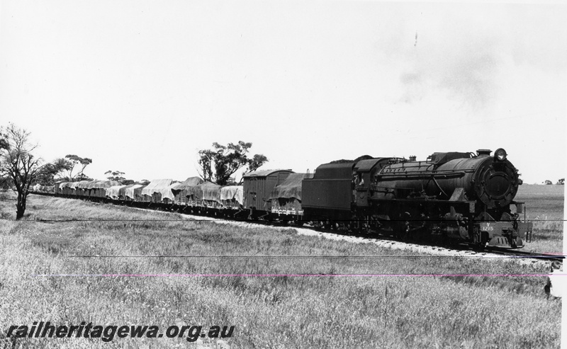 P17266
V class 1215 steam locomotive, side and front view, on goods train, country location.
