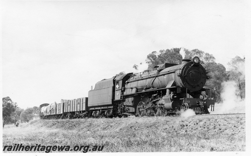 P17267
V class 1213 steam locomotive, side and front view, on goods train, on Cuballing bank, GSR line.

