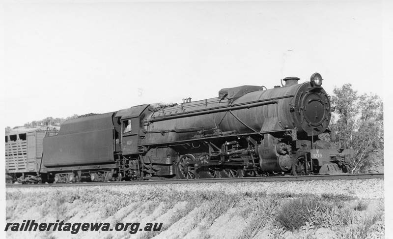 P17268
V class 1213 steam locomotive, side and front view, on goods train, country location.
