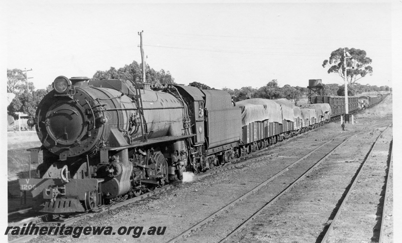 P17270
V class 1206 steam locomotive, front and side view, on goods train, crossing points, water tower at south end of the yard, semaphore signals, Brookton, GSR line.
