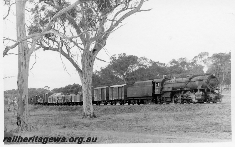 P17271
V class 1214 steam locomotive, side and front view, on goods train, on Cuballing bank, GSR line.

