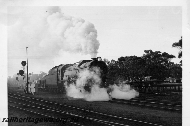 P17276
V class 1216 steam locomotive on goods train, side and front view, searchlight signals, leaving Narrogin for Albany, GSR line.
