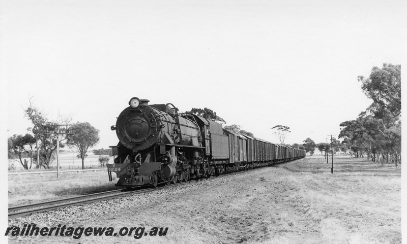 P17278
V class 1224 steam locomotive on No.11 goods train, front and side view, between York and Narrogin, GSR line.

