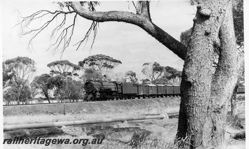 P17279
V class 1224 steam locomotive on goods train, front and side view, near Popanyinning, GSR line.
