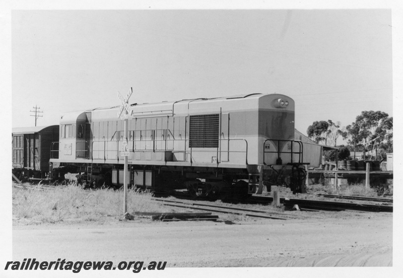 P17773
1 of 3 images of K class 207 on its delivery run to WA at Southern Cross, EGR line, on narrow gauge transfer bogies, at a level crossing, side and long hood end
