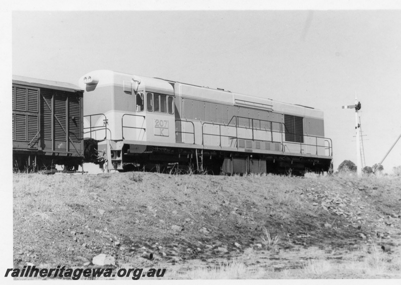 P17774
2 of 3 images of K class 207 on its delivery run to WA, signal, Southern Cross, EGR line, on narrow gauge transfer bogies, short hood and side view
