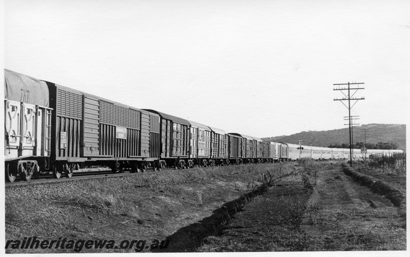 P17776
Rake of goods vans and stainless steel passenger carriages, 