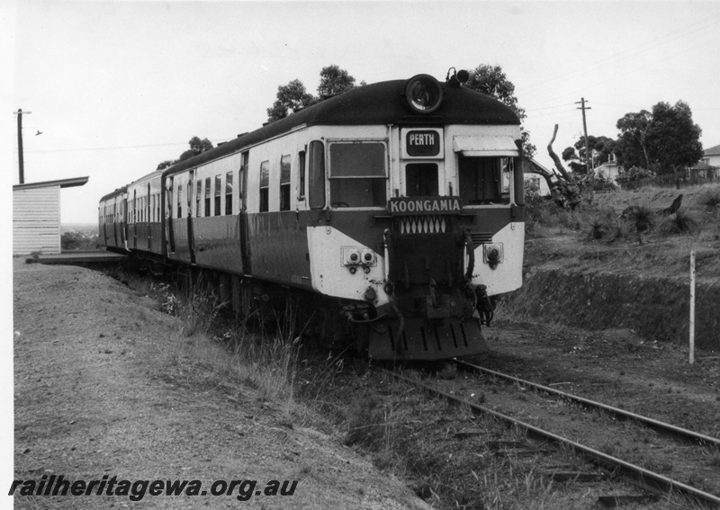 P17809
A 3 car unidentified ADG/AYE/ADG suburban rail car set at Koongamia prior to operating the last service from that station. M line. Note portion of station building.
