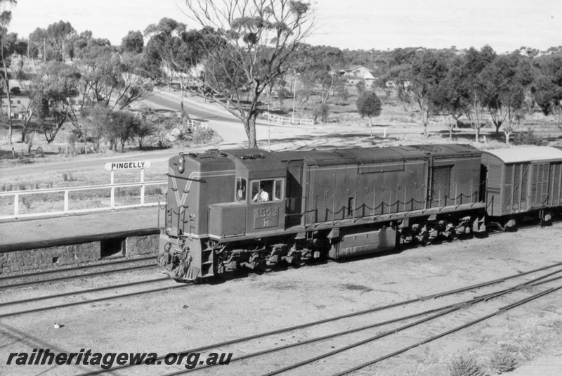 P17838
R class 1903 diesel locomotive on 12 goods from Narrogin to York arriving at Pingelly. GSR line. Note station nameboard and safety chains on front and side walkways of locomotive. Train is arriving on station loop and part of yard trackage visible. Side view of locomotive.
