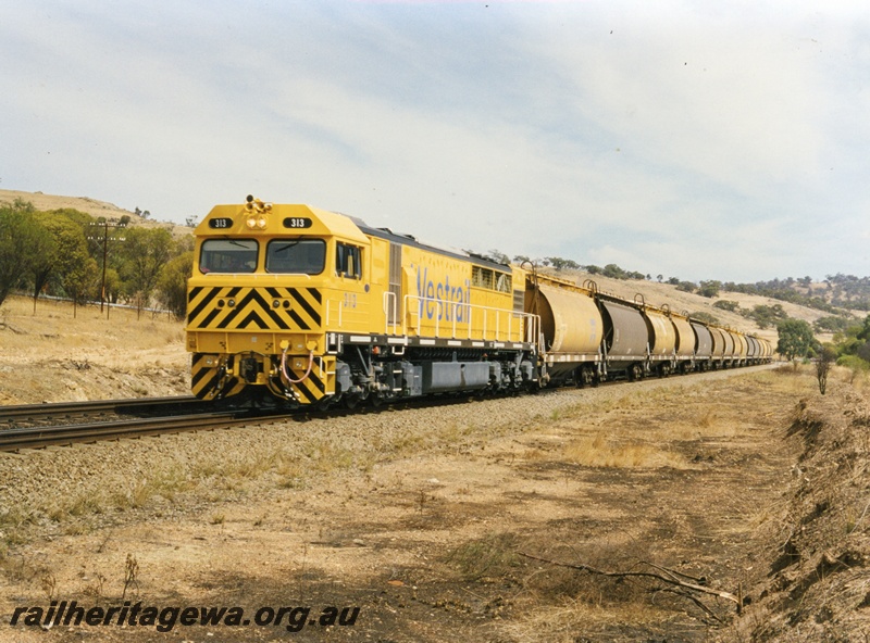 P18057
Q class 313 (reclassified Q class 4013) , heading freight train of empty wagons to Merredin, Avon Valley line, front and side view 
