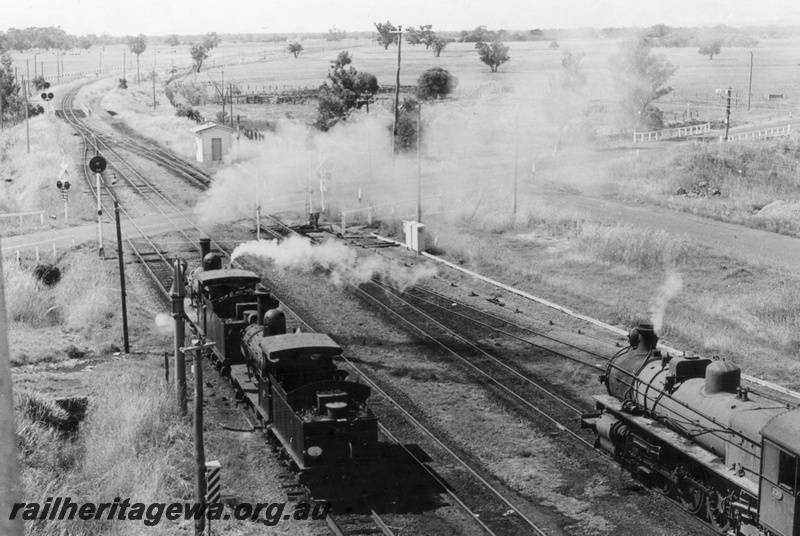 P18208
3 of 3, G class 118 and G class 67 steam locomotives, elevated rear view, passing through the station yard, heading north, PMR class 730 steam locomotive, searchlight signals, level crossing, water column, Pinjarra, SWR line.
