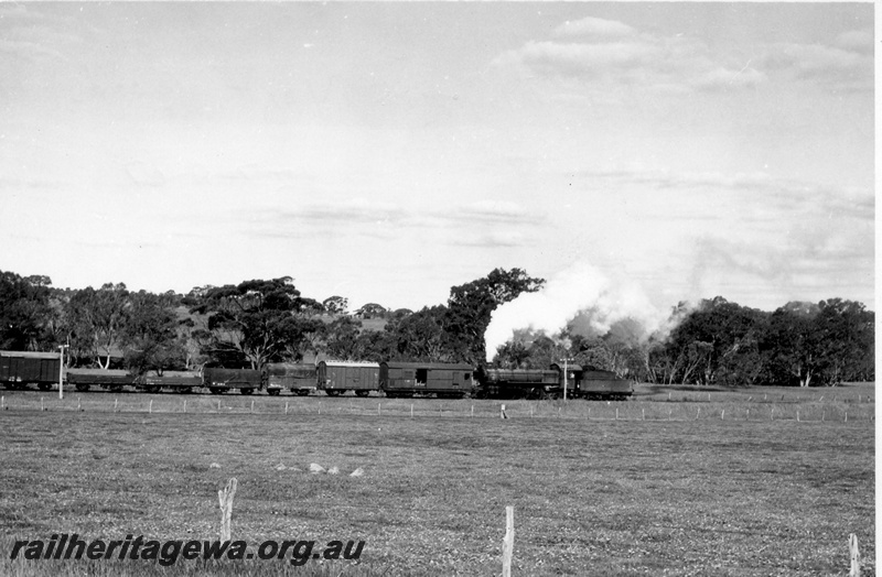 P18442
P class 508, banking on Narrogin to York goods train hauled by V class 1204 out of shot, fence and paddock in foreground, GSR line. See P18440, P18441

