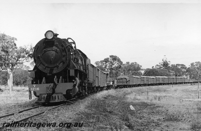 P18522
V class 1216, on No 11 goods train, on Cuballing Bank, GSR line, front and side view
