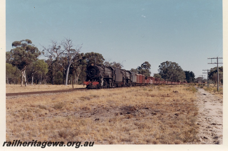 P18532
V class 1221 and V class 1210, on No 16 goods train, between Popanyinning and Pingelly, GSR line
