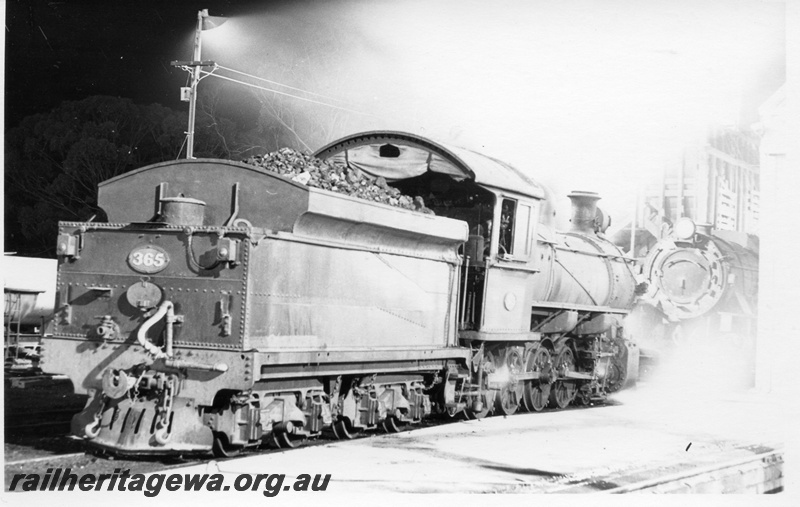 P18561
FS class 365, Narrogin loco depot, rear and side view
