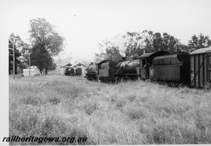 P18701
W class 955, another W class loco, another steam loco, vans, goods shed, Balingup, PP line
