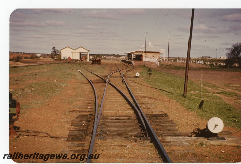 P19118
Mount Magnet Station - goods shed on left of photo.NR line.
