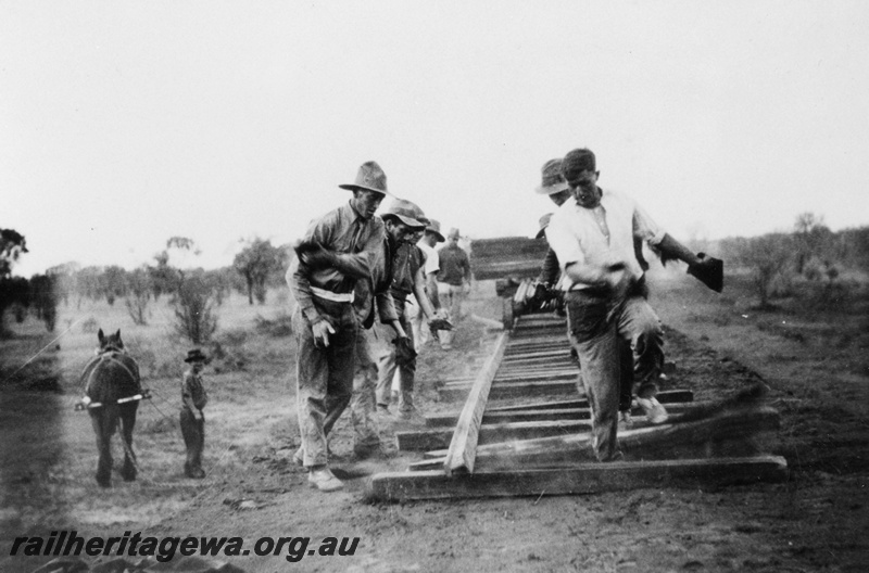 P19163
Track laying by Commonwealth Railways (CR) workers, sleepers, rails, wagon, horse, TAR line
