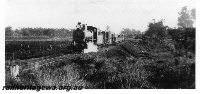 P19214
MRWA C class steam loco, heading morning service to Midland, passing through vineyards, having just crossed Nolan Avenue, Upper Swan, MR line, c1927-1933 
