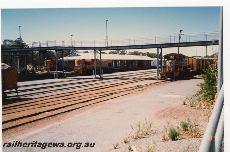 P19252
Three diesel locos in orange livery with blue and white stripe, covered wagon (part), yellow vans, station building, platform, tracks, pedestrian overpass, Narrogin, GSR line, track level view 
