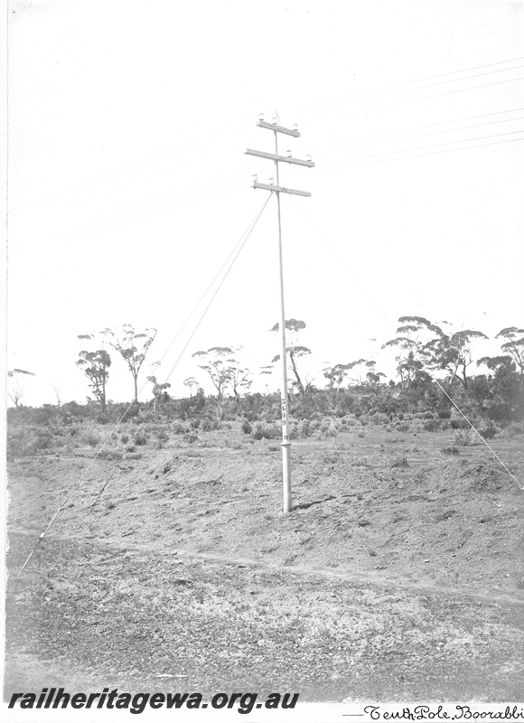 P19668
Boorabbin - Oppenheimer telegraph pole 3490 with 3 cross arms. EGR line
