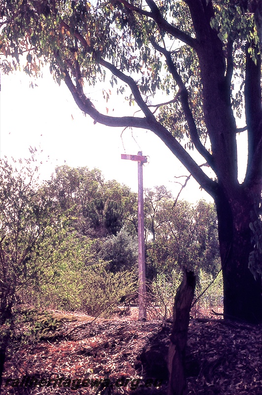 P19720
Abandoned semaphore signal, old formwork, bush setting, Glen Forrest, ER line
