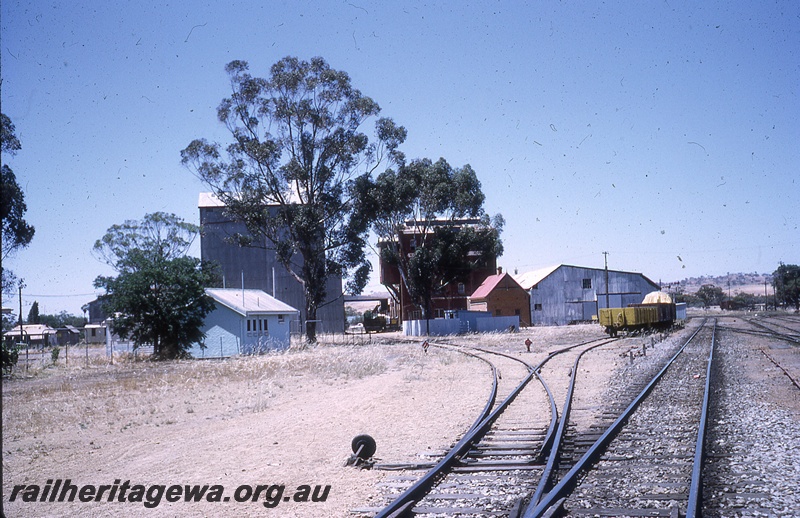 P19758
Wheat sidings, points, point lever, track, wheat bins, trackside buildings, rake of wagons, York, GSR line
