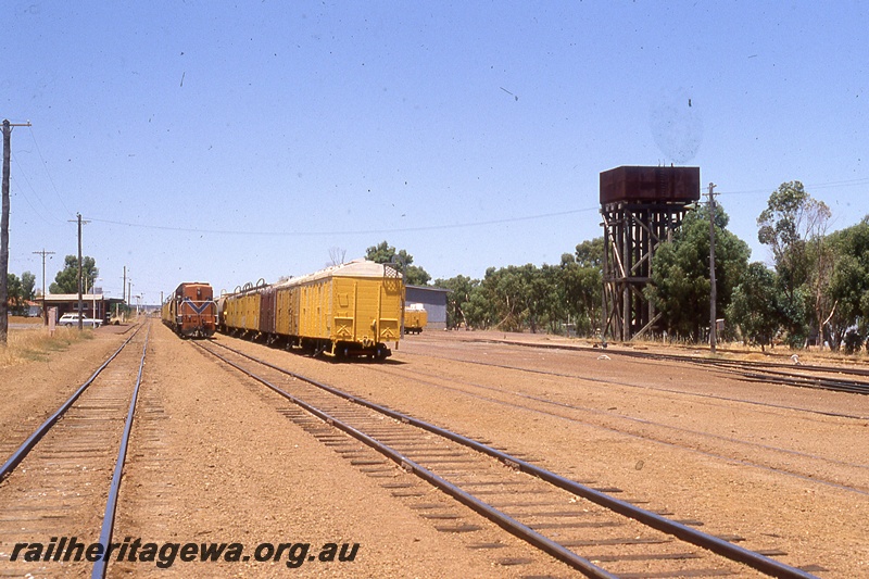 P19764
Diesel in orange livery with blue and white stripe, hauling goods train towards camera, rake of wagons, trackside buildings, track, yard, water tower, Wongan Hills, EM line 
