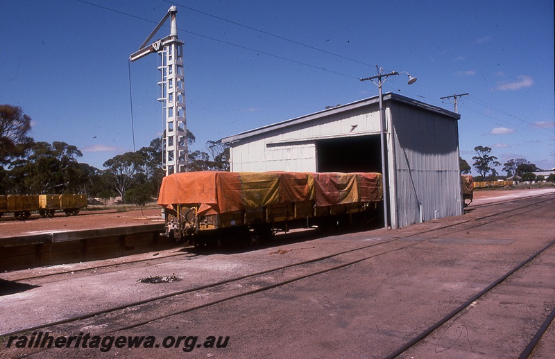 P19766
Rake of covered wagons, rakes of open wagons, goods shed, platform, crane, track, yard, Quairading, YB line
