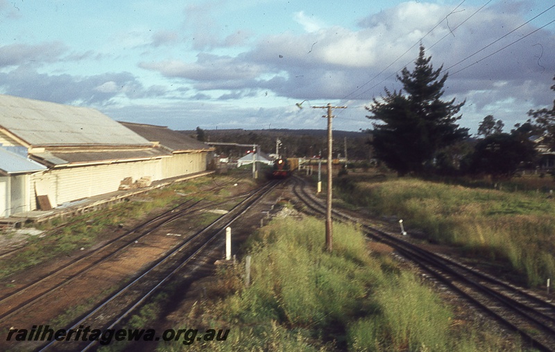 P19819
Diesel in green livery with red and yellow stripe, hauling goods train, goods shed, semaphore signal, points, point lever, sidings, tracks, Mount Barker, GSR line, train in distance, approaching camera
