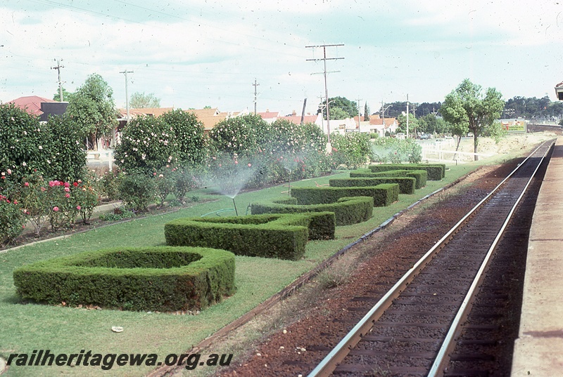 P19853
Hedges spelling out Daglish, lawn, gardens beside track, platform edge, Daglish, ER line, view from platform
