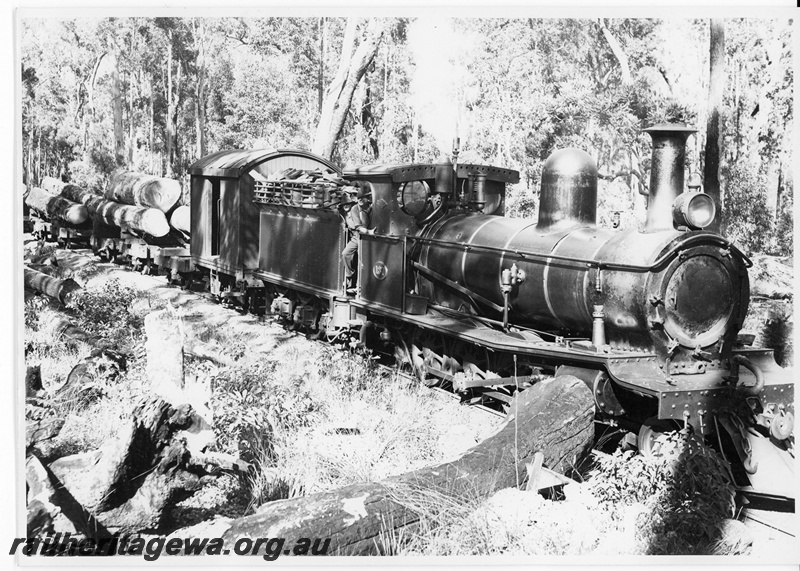 P20023
G class 137, on timber train, forest setting, side and front view
