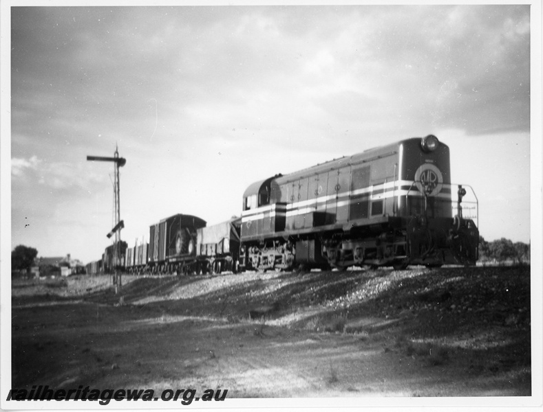 P20068
MRWA F class 41 on goods train comprising wagons and vans, MRWA signal, side and front view
