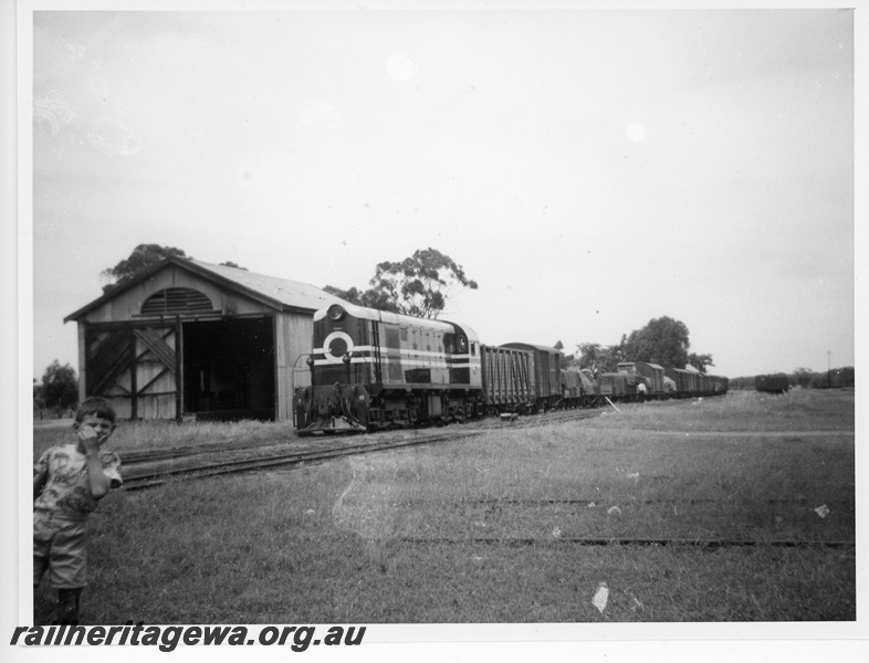 P20069
MRWA F class 40 on goods train comprising covered wagons and vans, MRWA style goods shed, boy peering at camera, rural setting, front and aside view
