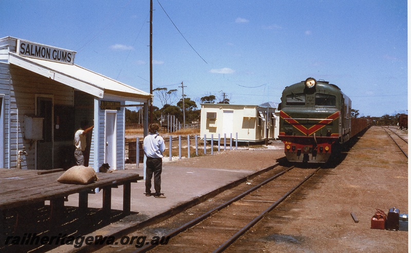 P20125
XB class 1020, on No 268 nickel train, passing through station, station master Eric Youldon, another onlooker, station building, platform, trackside building, photographer's luggage, Salmon Gums, CE line, front and side view from track level
