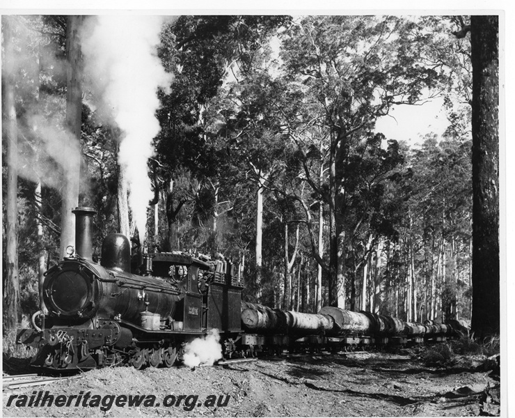 P20138
State Saw Mills loco No 4, (Neilson 4835/1895), hauling log train, en route to Pemberton Mill, in forest setting, front and side view
