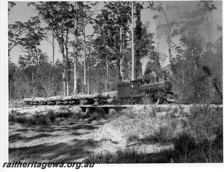 P20146
State Saw Mills loco No 6 (Beyer Peacock 5181/1908), on log train, culvert, forest setting, Pemberton, side and front view, c late 1940s
