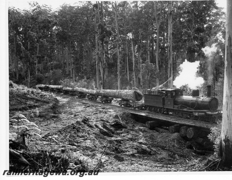 P20148
State Saw Mills loco No 9, (Dubs 3415/1896), ex WAGR G class 135, on log train, culvert, forest setting, Pemberton, c1950s
