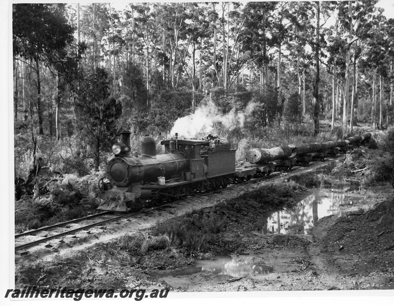 P20149
State Saw Mills loco No 6, (Beyer Peacock 5181/1908), on log train, forest setting, Pemberton, front and side view, c1950s
