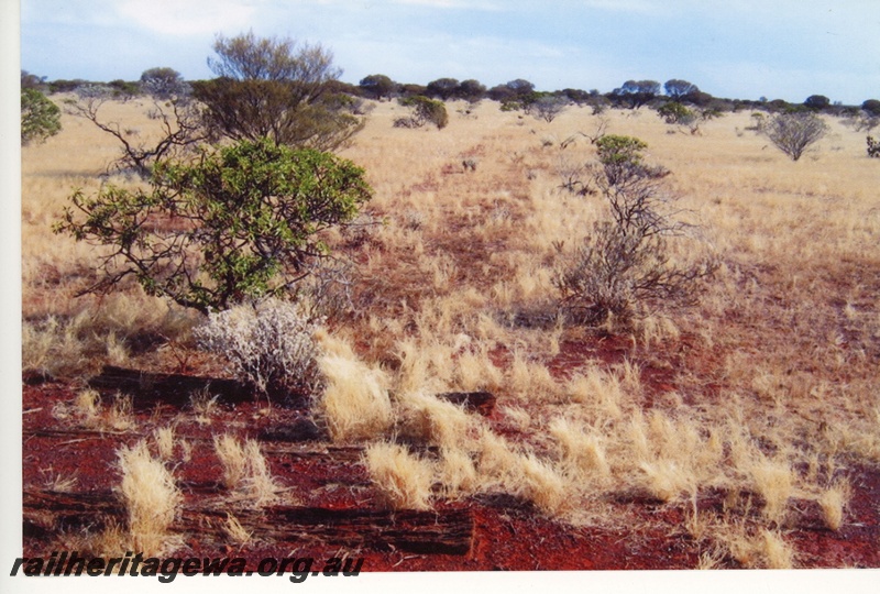 P20155
View of part of the route of the abandoned Meekatharra to Horseshoe railway
