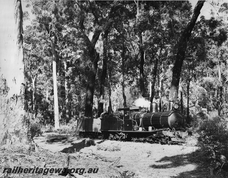 P20659
Bunning Brothers YX Class 86, near Donnelly River, single GE Class wagon
