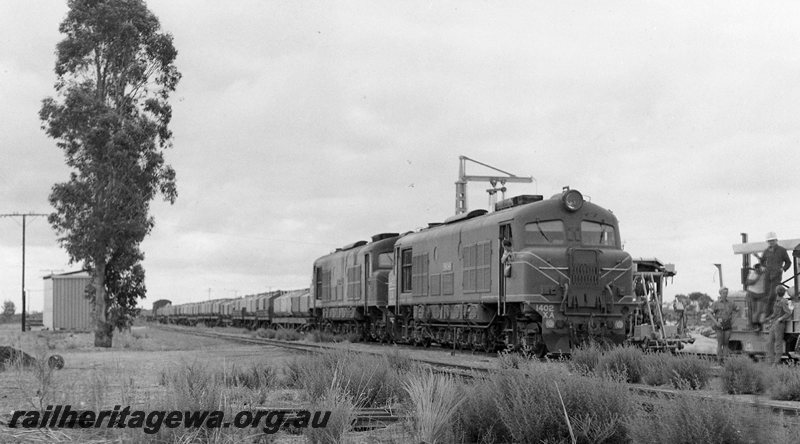 P20724
XA class 1402 (livery green with red/yellow stripe) and an unidentified XA class haul a nickel train through Widgiemooltha. CE line 
