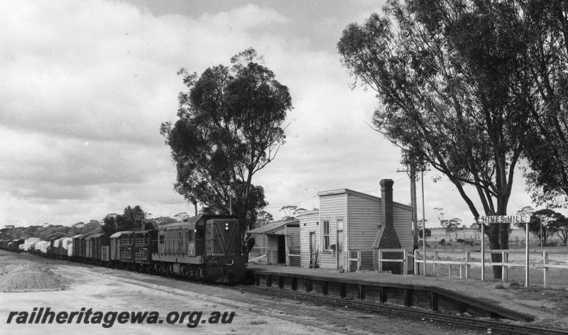 P20733
A class 1505  (livery green with red/yellow stripe)hauling number 98 goods arriving Hines Hill. Station building and shelter shed in photo. EGR line. 
