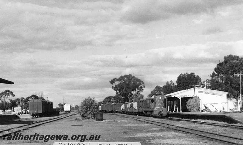 P20739
A class 1505 ( livery green with red/yellow stripe)  hauling  number 98 goods arriving Cunderdin. Photo shows  station building and part of station yard. The second line on the left  was used for the overnight storage of 