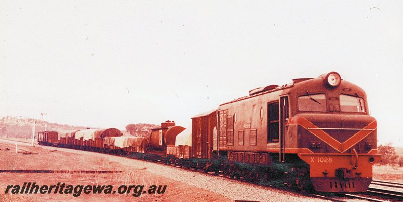 P20767
X class 1028 (green with red/yellow stripe livery)  approaches East Northam from Wongan Hills with a mixed goods train. The railway lines on the right of the train are the narrow and  standard  gauge lines to Merredin . Home and distant photos in the background. EM line. 
