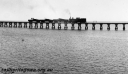 P20823.jpg