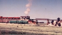 P20831.jpg